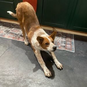 Meet your Posher, Joely